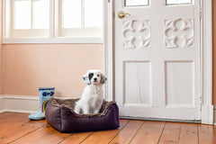 DGS Pet Products Dirty Dog Lounger Bed Medium Brown 26″ x 24″ x 8″