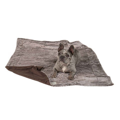 DGS Pet Products Itchy Witchy Essential Oils Blanket Medium Chocolate Truffle 30″ x 40″ x 0.5″