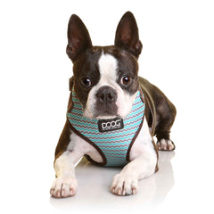 DOOG Neoflex Dog Harness Benji Medium Blue/Grey
