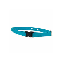 2 Hole Adjustable Nylon Replacement Collar Strap 3/4 inch Medium Aqua