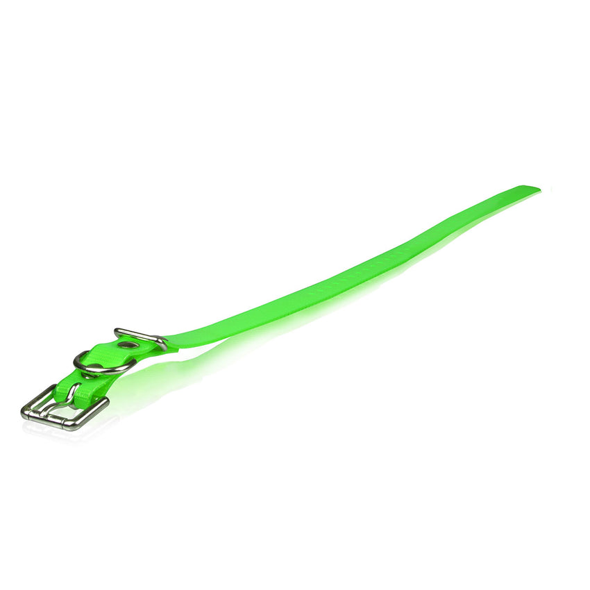 Dogtra Extra Dog Collar Strap Green 1" x 24"