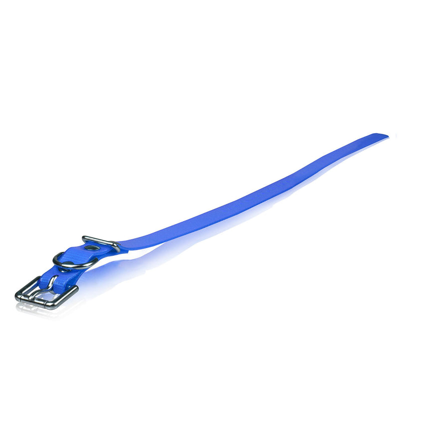 Dogtra Extra Dog Collar Strap Blue 1" x 30"