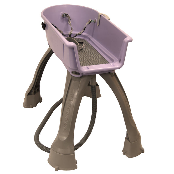 Dog Grooming