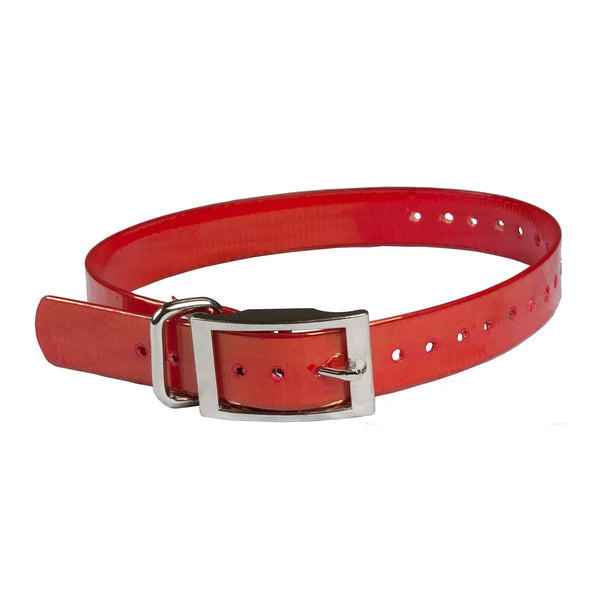 Collars and Leashes