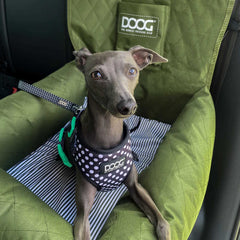 DOOG Pet Car Seat Green 19.5″ x 19.6″ x 14″