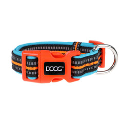 DOOG Neoprene Dog Collar Beethoven Neon Small Orange/Blue