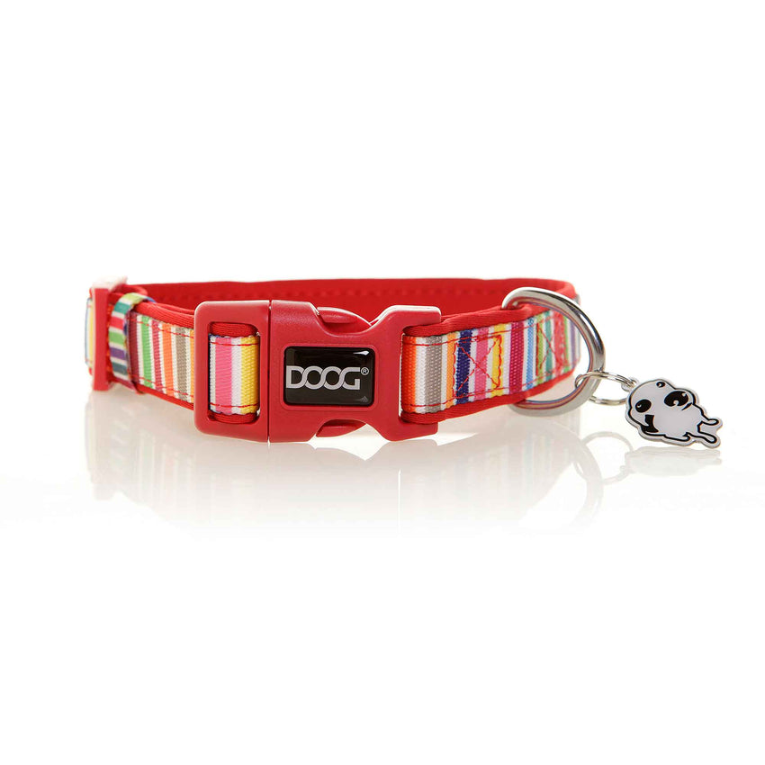 DOOG Neoprene Dog Collar Scooby Medium Red/Rainbow