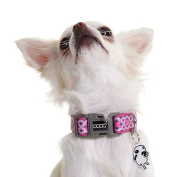 DOOG Neoprene Dog Collar Toto Extra Small Pink