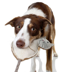 DOOG Country Tails Cat Chew Toy White 7.08″ x 1.18″ x 2.3″