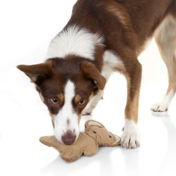 DOOG Country Tails Mouse Chew Toy Brown 7.48″ x 1.18″ x 3.14″