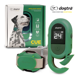 Dogtra 400 yard Dog Remote Trainer Green