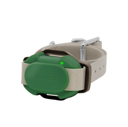 Dogtra CUE Additional Receiver Collar Green