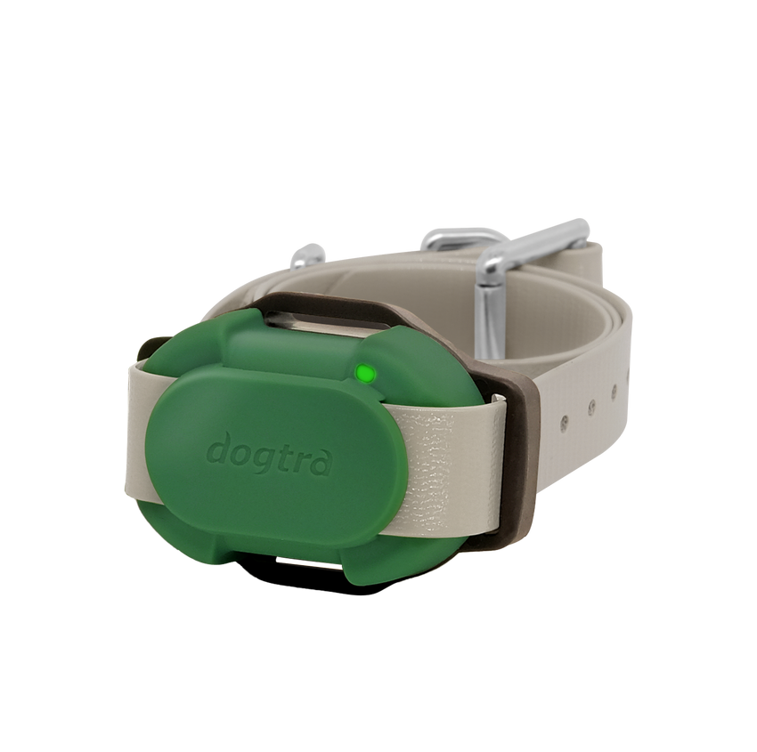 Dogtra CUE Additional Receiver Collar Green