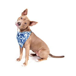 DGS Pet Products Unbugz-It Bandana Large Square Blue 13" x 8" x 0.1"