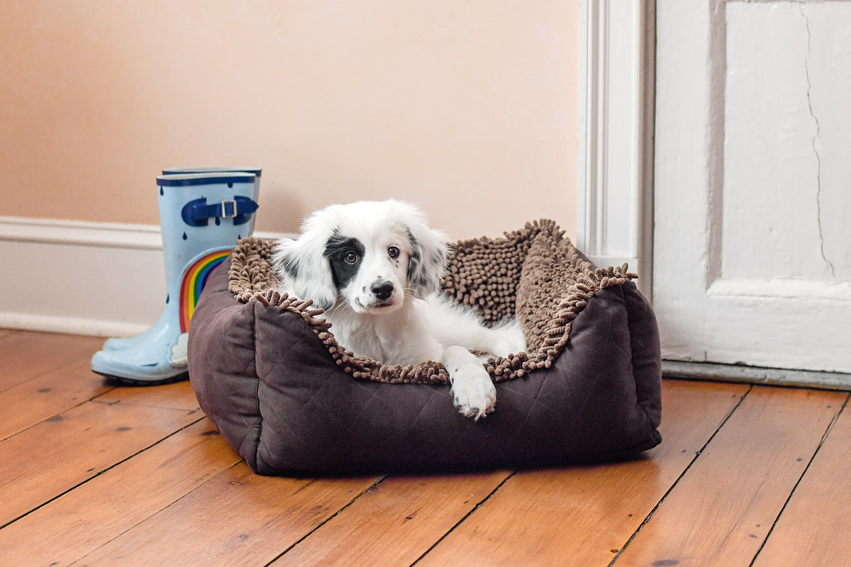 DGS Pet Products Dirty Dog Lounger Bed Small Brown 22″ x 20″ x 8″