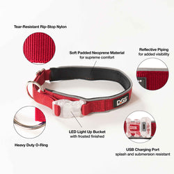 Comet Rechargeable Light Up Dog Collar Small Red 13.5" - 16" x 0.6"