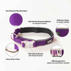 Comet Rechargeable Light Up Dog Collar Small Purple 13.5" - 16" x 0.6"