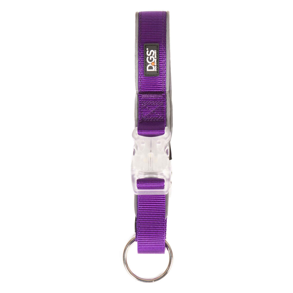 Comet Rechargeable Light Up Dog Collar Small Purple 13.5" - 16" x 0.6"
