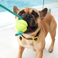 DOOG Fetch-ables Fetch-A-Tug Dog Toy Yellow 12" x 2.75" x 2.75"