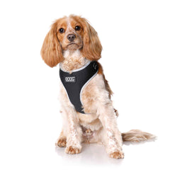 DOOG Neoflex Dog Harness Lassie Medium Black