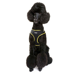 DOOG Neoflex Dog Harness Bolt Neon Large Black/Yellow