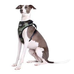 DOOG Neoflex Dog Harness Bruiser Medium Camo