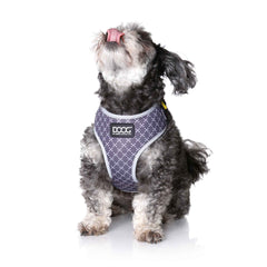 DOOG Neoflex Dog Harness Odie Small Black/Purple/Yellow