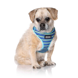 DOOG Neoflex Dog Harness Pluto Extra Small Blue