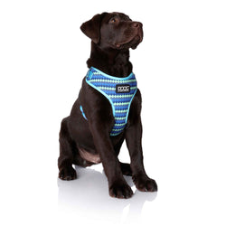 DOOG Neoflex Dog Harness Pluto Large Blue