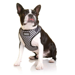 DOOG Neoflex Dog Harness Pongo Extra Small Black/White Polka Dot