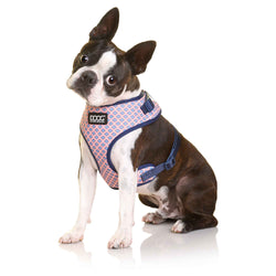 DOOG Neoflex Dog Harness Gromit Small Blue/Pink