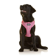 DOOG Neoflex Dog Harness Toto Small Pink