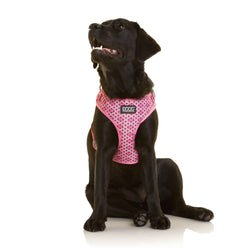 DOOG Neoflex Dog Harness Toto Medium Pink