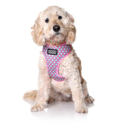 DOOG Neoflex Dog Harness Luna Extra Large Pink/Blue