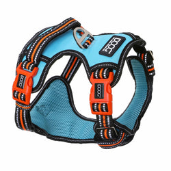 DOOG Neotech Dog Harness Beethoven Extra Large Blue/Orange/Black