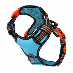 DOOG Neotech Dog Harness Beethoven Medium Blue/Orange/Black