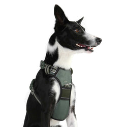 DOOG Neotech Dog Harness Large Green