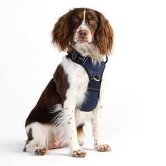 DOOG Neotech Dog Harness Large Navy 