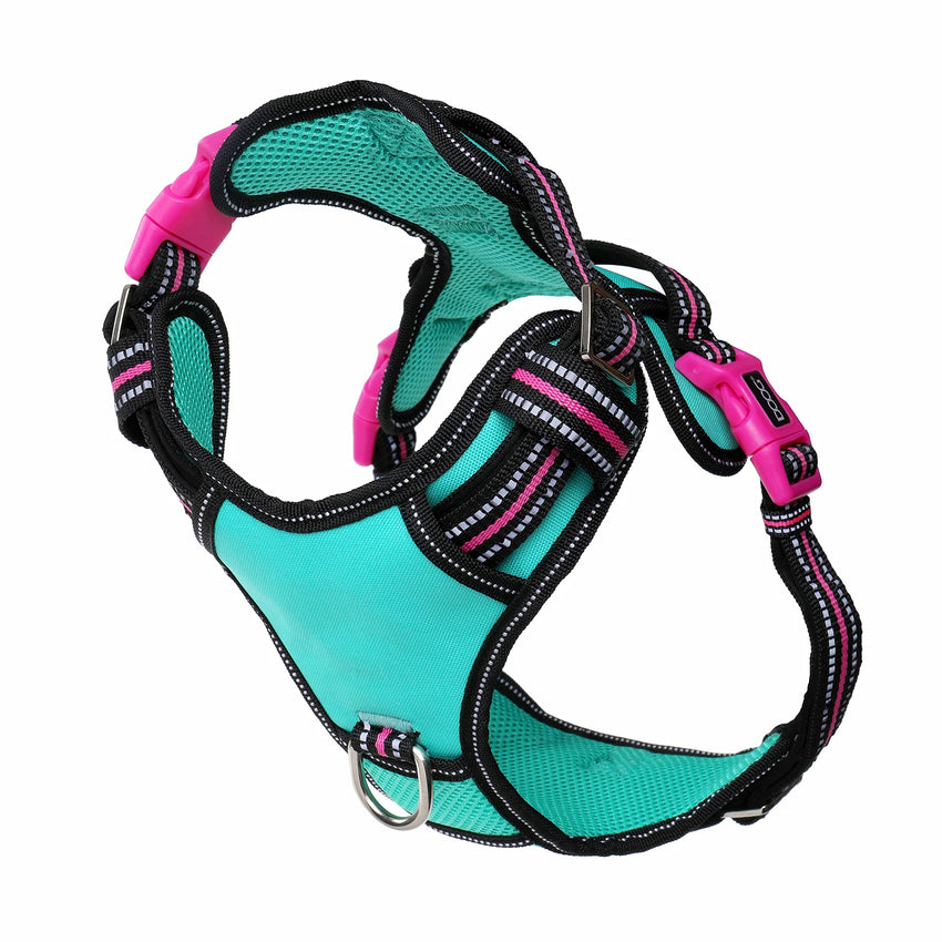 DOOG Neotech Dog Harness Rin Tin Tin Small Blue/Pink/Black