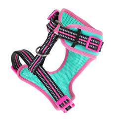 DOOG Neoflex Dog Harness Rin Tin Tin Neon Extra Small Teal/Pink