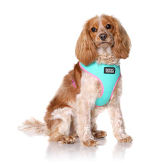 DOOG Neoflex Dog Harness Rin Tin Tin Neon Small Teal/Pink