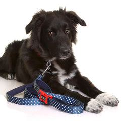 DOOG Neoprene Dog Clip It Leash Stella Extra Large Blue/White Polka Dot