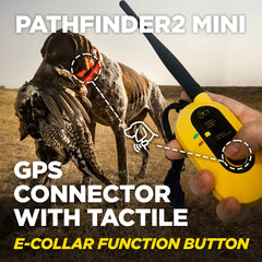 Dogtra Pathfinder2 Mini GPS E-Collar Yellow/Orange