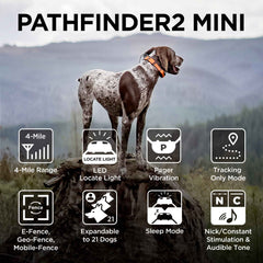 Dogtra Pathfinder2 Mini GPS E-Collar Yellow/Orange