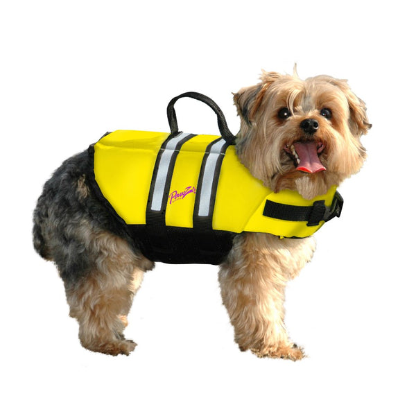 Dog Water Safety