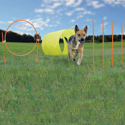Outward Hound Dog Agility Starter Kit Outdoor – OH42003